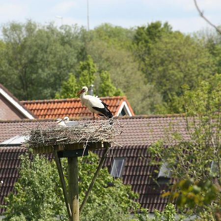 Bed & Breakfast 'Aan De Ijssel' Zwolle  Exteriér fotografie