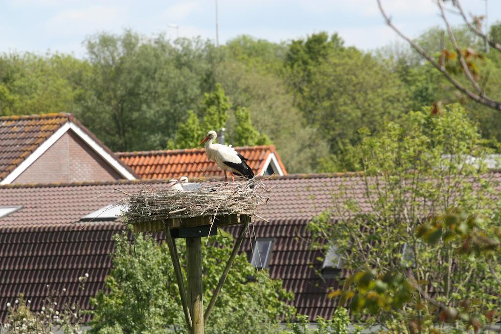 Bed & Breakfast 'Aan De Ijssel' Zwolle  Exteriér fotografie